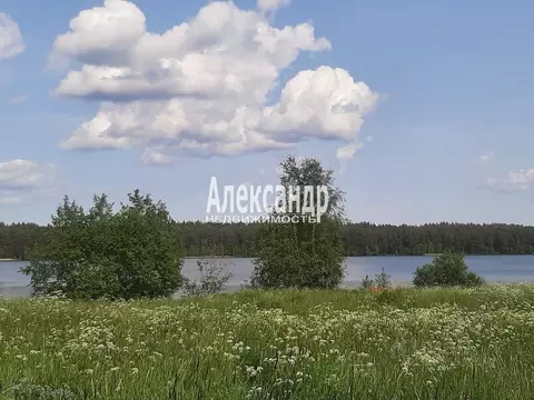 Участок в Ленинградская область, Приозерский район, Громовское с/пос, ...