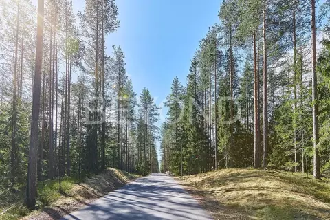 Участок в Ленинградская область, Выборгский район, Первомайское с/пос, ...