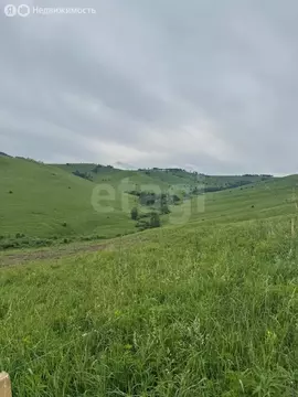 Участок в Алтайский район, ДНТ Жемчужина Алтая (10.5 м)