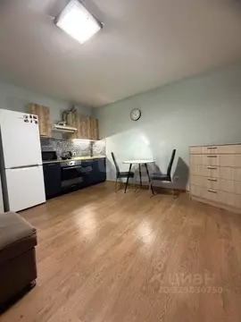 Студия Тюменская область, Тюмень ул. Червишевский Тракт, 45 (26.9 м)