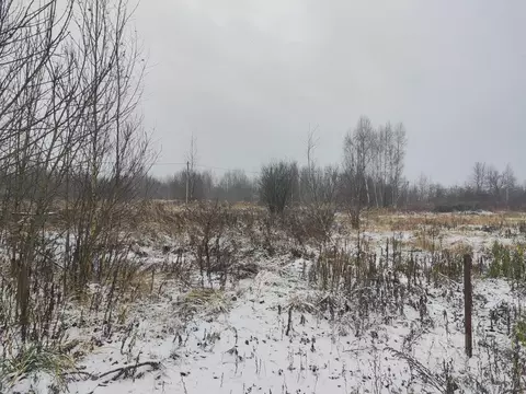 Участок в Московская область, Ликино-Дулево Орехово-Зуевский городской ...