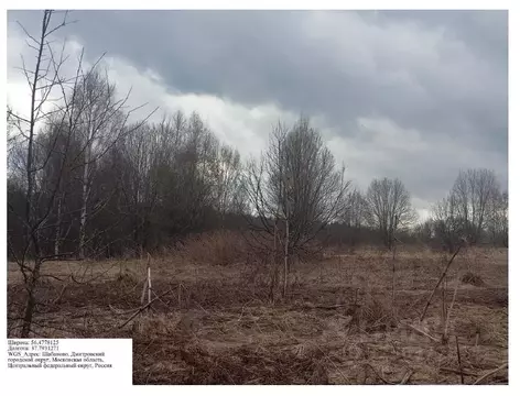 Участок в Московская область, Дмитровский муниципальный округ, д. ...