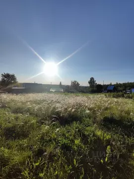 Участок в Башкортостан, Кармаскалинский район, Подлубовский сельсовет, ...