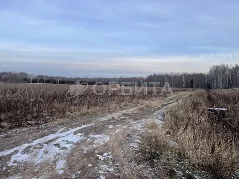 Участок в Тюменская область, Тюменский муниципальный округ, с. Кулига, ...