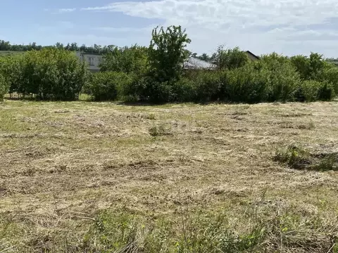 Участок в Ставропольский край, Ставрополь Земляне садовое ...