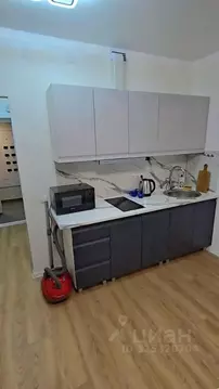 Студия Санкт-Петербург ул. Тосина, 1к2 (24.0 м)