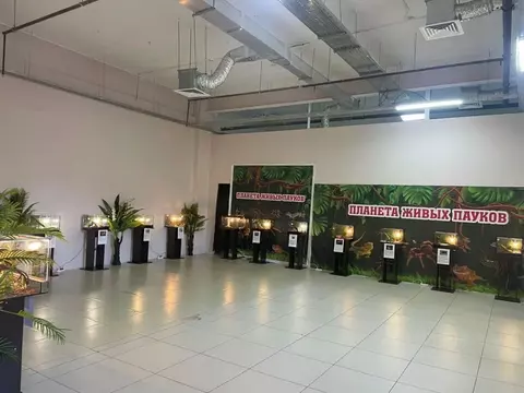 Помещение свободного назначения в Хабаровский край, Хабаровск Большая ...