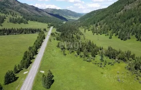 Участок в Алтай, Шебалинский район, с. Дъектиек  (10.0 сот.)