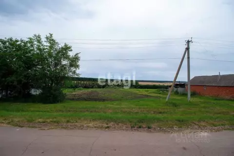 Участок в Белгородская область, Алексеевский муниципальный округ, с. ...