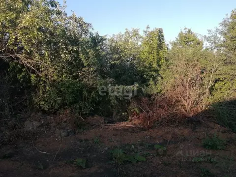 Участок в Мордовия, Саранск городской округ, Ялга рп, Свердловец СНТ  ...