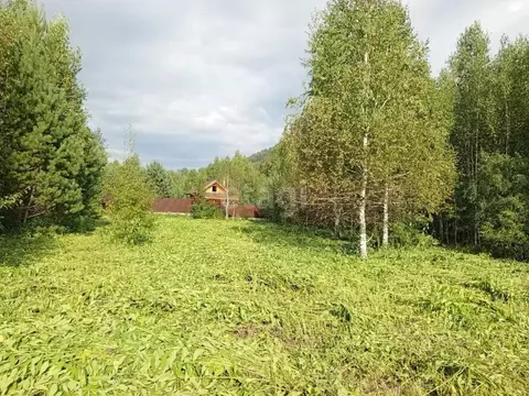 Участок в Алтай, Майминский район, Соузгинское с/пос, пос. Турбаза ...