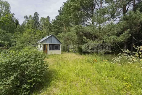 Участок в Москва № 661 кв-л,  (6.0 сот.)