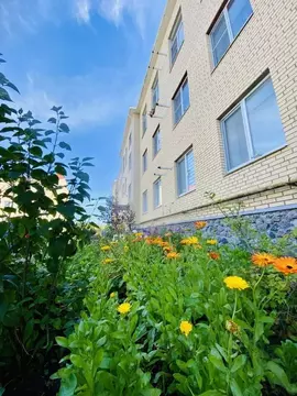 2-к кв. Ленинградская область, Выборгский район, Рощино пгт ул. ...