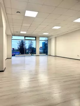 Офис в Санкт-Петербург ш. Революции, 69Ак102 (77 м)