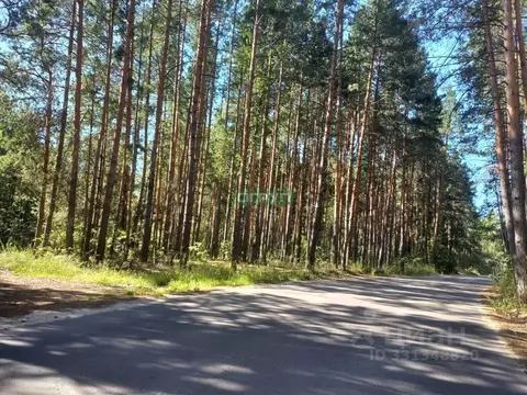 Участок в Пензенская область, Пенза Курортная ул. (14.5 сот.)