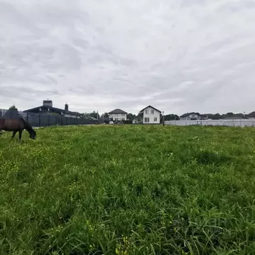 Участок в Ленинградская область, Ломоносовский район, Низинское с/пос, ...