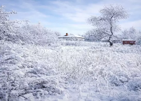 Участок в Смоленская область, Смоленск Трикотажная фабрика СТ, 131 ...