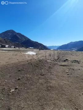 Участок в Чемальский район, село Куюс (11 м)