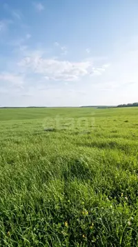 Участок в Алтай, Усть-Коксинский район, с. Чендек  (337.85 сот.)