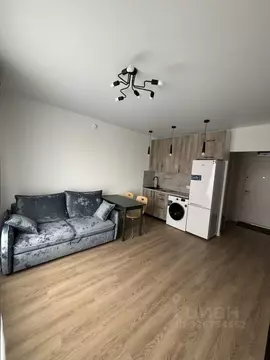 Студия Московская область, Люберцы ул. Летчика Ларюшина, 6 (24.0 м)