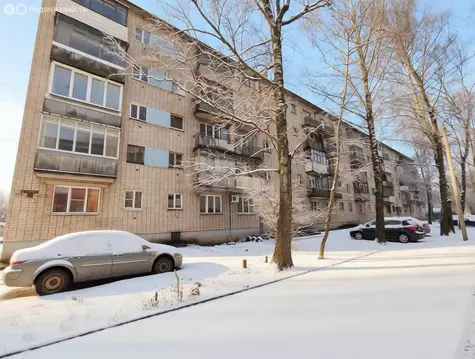 1-комнатная квартира: Псков, переулок Машиниста, 1 (28.9 м)