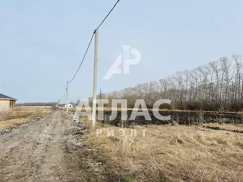 Участок в Омская область, Омский район муниципальный округ, с. Пушкино ...