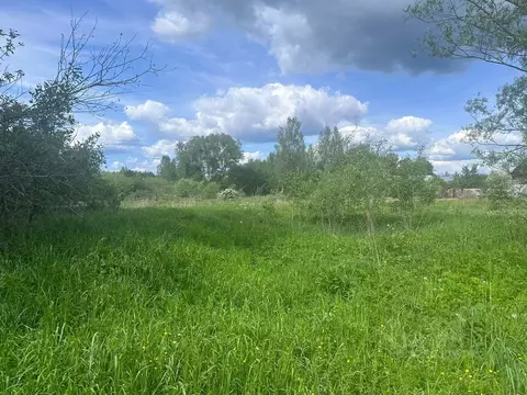 Участок в Московская область, Богородский городской округ, д. ...