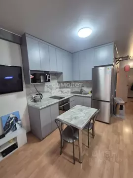 Студия Челябинская область, Челябинск ул. Хариса Юсупова, 103 (28.0 м)