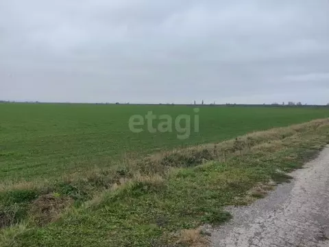 Участок в Крым, Советский район, Ильичевское с/пос, с. Восточное ул. ...