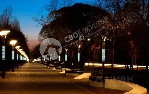 1-к кв. Пермский край, Пермь Гатчинская ул., 20 (37.8 м)