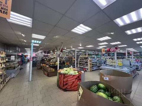 Торговая площадь в Московская область, Чехов Губернский мкр, 2 (752 м)