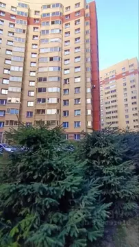 1-к кв. Санкт-Петербург Ленинский просп., 77к1 (31.3 м)