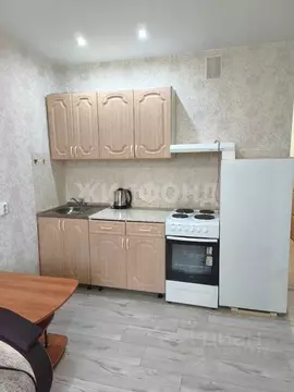 Студия Новосибирская область, Новосибирск ул. Фадеева, 66/2 (24.0 м)