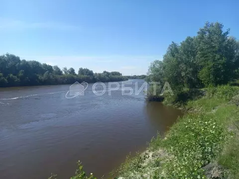 Участок в Тюменская область, Тюменский муниципальный округ, с. Борки ...