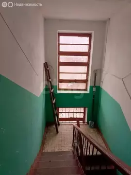 2-комнатная квартира: Донской, улица Молодцова, 31 (40 м)