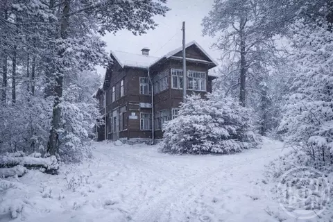 Участок в Санкт-Петербург, Санкт-Петербург, Сестрорецк Ермоловский ...