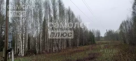 Участок в Коми, Корткеросский район, Додзь муниципальное образование, ...