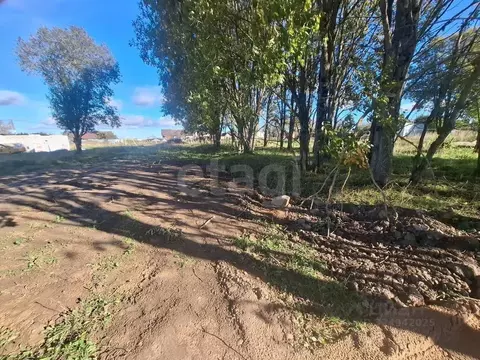 Участок в Ленинградская область, Ломоносовский район, Оржицкое с/пос, ...