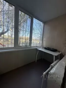 Студия Тюменская область, Тюмень ул. 30 лет Победы, 75 (12.5 м)