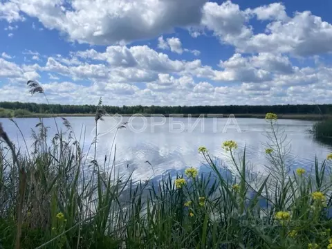 Участок в Тюменская область, Нижнетавдинский муниципальный округ, ...
