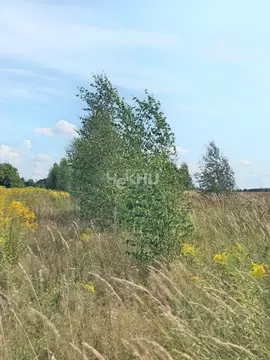 Участок в Нижегородская область, Городецкий муниципальный округ, д. ...