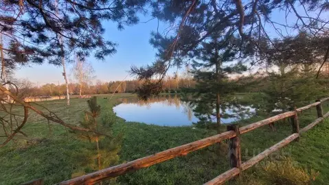 Участок в Рязанская область, Клепиковский муниципальный округ, с. ...
