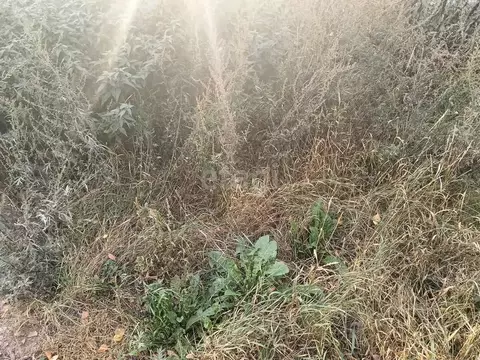 Участок в Коми, Сыктывдинский район, Ыб муниципальное образование, д. ...