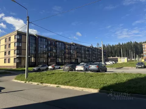 Торговая площадь в Ленинградская область, Сертолово Всеволожский ...