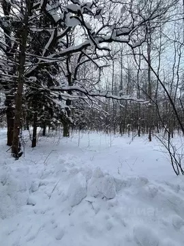 Участок в Московская область, Ступино городской округ, д. Никольская ...