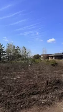 Участок в Воронежская область, Рамонский район, Новоживотинновское ...