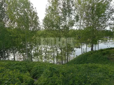 Участок в Вологодская область, Сокольский муниципальный округ, д. ...