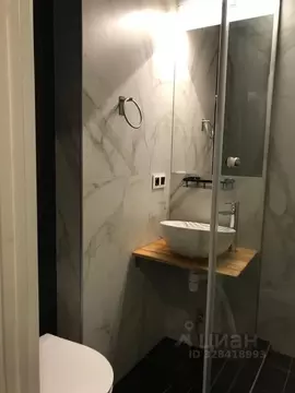 Студия Санкт-Петербург просп. Ветеранов, 169к6 (29.0 м)