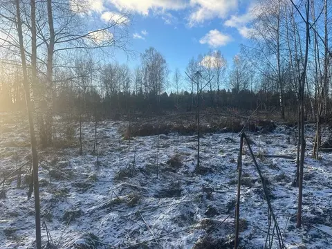 Участок в Московская область, Рузский муниципальный округ, д. Барынино ...