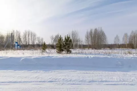 Участок в Тюменская область, Нижнетавдинский муниципальный округ, ...